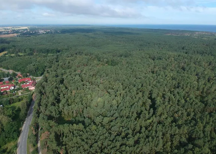 Piamola Z Wiata Do Grillowania Kąty Rybackie